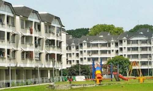 安丁鱼图片网 - 网站提供安丁鱼炖豆腐好吃吗小常识、安丁鱼学名