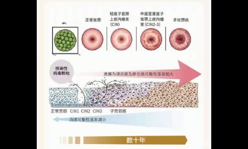 安丁鱼炖豆腐好吃吗-安丁鱼图片网 - 网站提供安丁鱼炖豆腐好吃吗小常识、安丁鱼学名