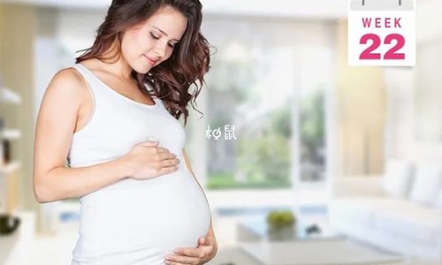安丁鱼叫什么鱼-安丁鱼图片网 - 网站提供安丁鱼炖豆腐好吃吗小常识、安丁鱼学名